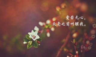 简短经典的人生感悟（简短经典的人生感悟文案）