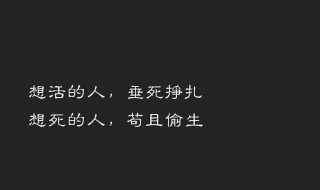 高冷又隨性的句子 高冷又隨性的句子簡短