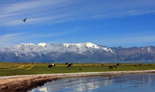 七八月份去哪里旅游最好（七八月份去哪里旅游最好國(guó)外）