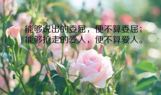 比較唯美的朋友圈句子大全（唯美的的朋友圈句子）