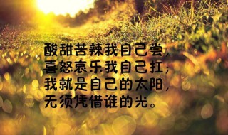 正能量語(yǔ)錄發(fā)朋友圈的話(huà)（正能量語(yǔ)錄發(fā)朋友圈的話(huà)怎么寫(xiě)）