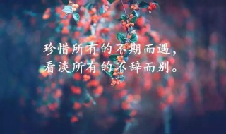 感情句子傷痛 感情句子傷痛歌詞