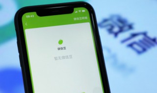 微信豆是什么?如何使用微信豆? 微信微信豆有什么用