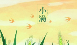 小滿節(jié)氣介紹 小滿節(jié)氣介紹簡(jiǎn)介