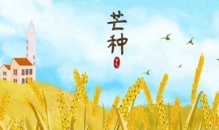 芒種節(jié)氣的人生寓意（芒種節(jié)氣的深刻含義）