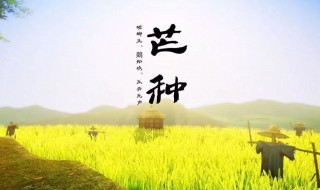 芒種節(jié)氣的彥語(yǔ) 關(guān)于芒種節(jié)氣的詩(shī)句或民間諺語(yǔ)摘抄