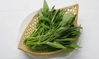 怎么储存野菜 怎么储存野菜时间长