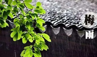 2021年的梅雨季节是什么时间（2021年梅雨季节是何时）