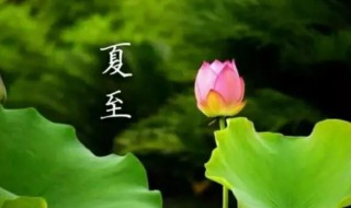 夏至節(jié)氣養(yǎng)生知識（夏至節(jié)氣養(yǎng)生知識大全）