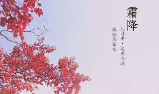 霜降節(jié)氣習俗（霜降節(jié)氣的到來意味著什么?）