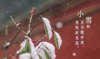 小雪节气吃什么传统食物 小雪节气的吃食