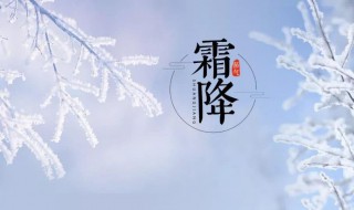 霜降节气的风俗食物 霜降节气有哪些风俗