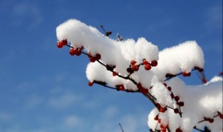 雪的形成（雪的形成過程）