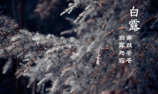 白露节气的寓意和传统 白露节气的寓意是什么