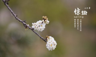 驚蟄節(jié)氣是什么意思 驚蟄節(jié)氣的特點和風俗