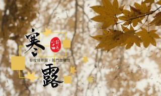 寒露節(jié)氣古詩詞（寒露節(jié)氣古詩詞經(jīng)典）