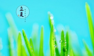 描寫立夏節(jié)氣的詩詞