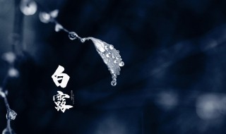 描寫白露節(jié)氣的詩句（描寫白露節(jié)氣的詩句七言絕句）