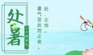 处暑节气寓意（处暑节气有什么重要的意义）