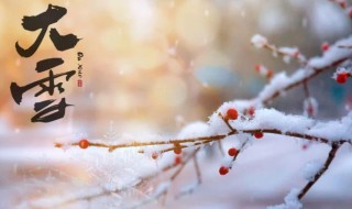 大雪節(jié)氣寓意（大雪節(jié)氣寓意象征）