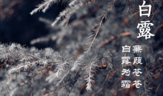 白露節(jié)氣文案 白露節(jié)氣文案朋友圈