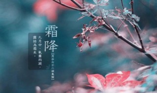 霜降节气吃什么（霜降节气吃什么最好）