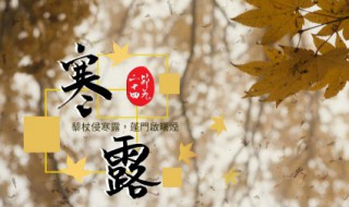 寒露節(jié)氣詩詞 寒露節(jié)氣詩詞鑒賞