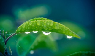 梅雨季节2021什么时间入梅 梅雨季节2021什么时间入梅江苏