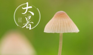 大暑節(jié)氣的寓意和傳統(tǒng)（大暑節(jié)氣的寓意和傳統(tǒng)風(fēng)俗）