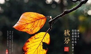 秋分节气的人生寓意（秋分节气的人生寓意是什么）