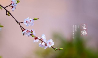 立春節(jié)氣寓意（立春節(jié)氣的寓意和傳統(tǒng)）