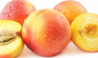 油桃的桃核怎么种 油桃的桃核怎么种植