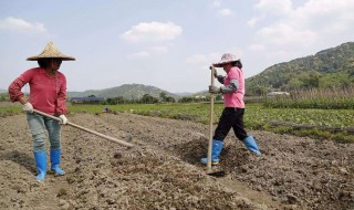 女人干活到多少岁 女人打工到多少岁