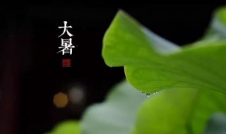 小暑和大暑哪個(gè)熱（小暑熱還是大暑熱些）