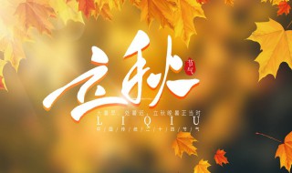 關(guān)于立秋的短句（關(guān)于立秋的短句有哪些）