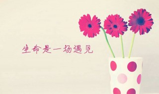 安慰失去親人的暖心話（安慰失去親人的短語(yǔ)）