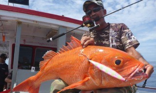 路亞釣鯉魚絕招（路亞釣鯉魚絕招大全圖片）