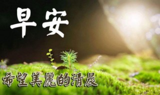 最精美早上好祝福語(yǔ)（最精美的早上好祝福語(yǔ)）