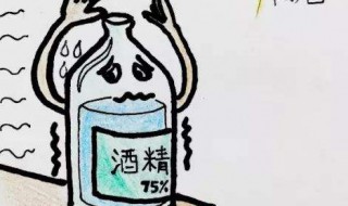 酒精正确的用法 酒精的正确使用方法和注意事项