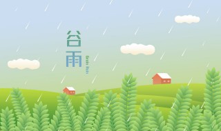 谷雨节气养生知识（谷雨节气养生知识内容）