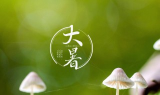 大暑節(jié)氣的特點和風(fēng)俗（立秋節(jié)氣的特點和風(fēng)俗）