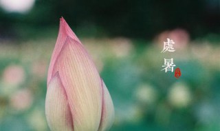 處暑節(jié)氣吃什么傳統(tǒng)食物（處暑節(jié)氣吃啥好）