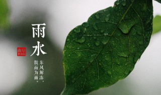 雨水节气是什么意思（雨水节气秒懂百科）