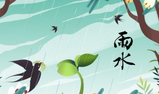 雨水節(jié)氣的特點和風俗（雨水節(jié)氣的特點和風俗手抄報）