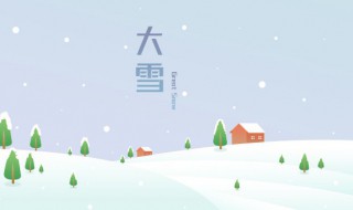 大雪节气的彦语 大雪节气彦语顺口溜