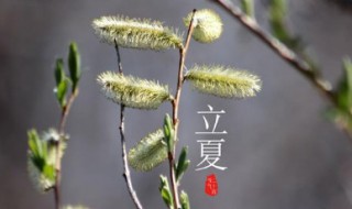 立夏節(jié)氣的彥語(yǔ)