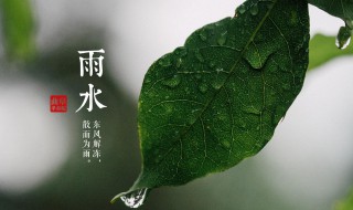 描寫雨水節(jié)氣的詩句 描寫雨水節(jié)氣的詩句是