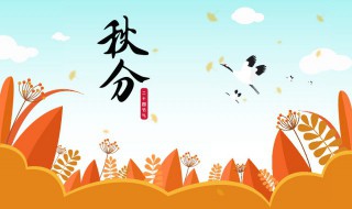 秋分节气吃什么（秋分节气吃什么蔬菜最好）