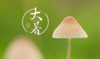 大暑节气的含义（大暑节气的含义和风俗）