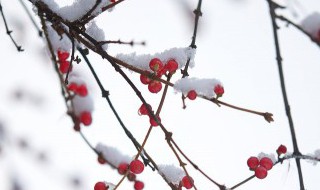 小雪节气推荐语 小雪节气推荐语怎么写